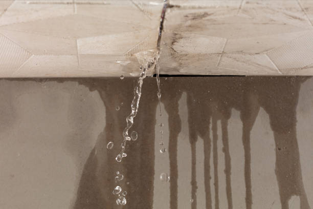 Professional Water Damage Restoration technician working in Ethridge, TN